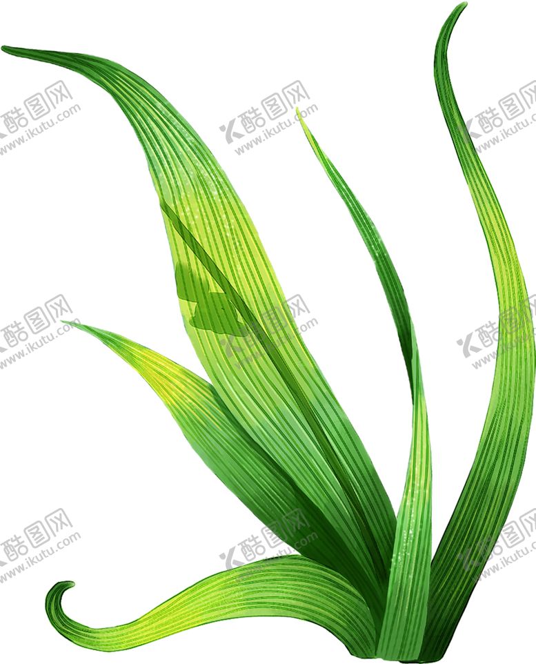 编号：15952507012341496194【酷图网】源文件下载-绿色相框