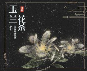 唯美玉兰花茶