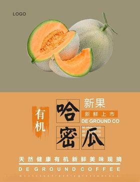 哈密瓜海报
