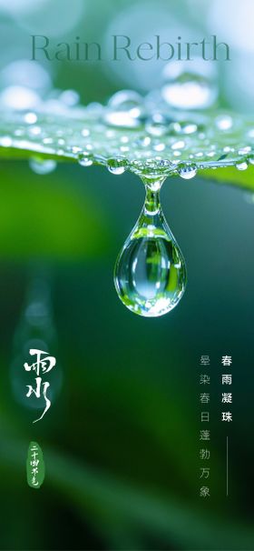 雨水节气海报