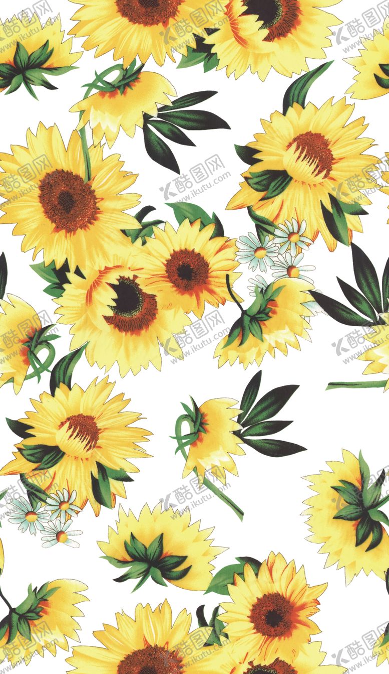 编号：85177810041931264646【酷图网】源文件下载-菊花