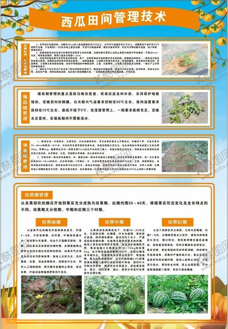编号：28599201310843356143【酷图网】源文件下载-西瓜种植管理技术