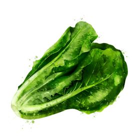 手绘彩色蔬菜免扣素材图片