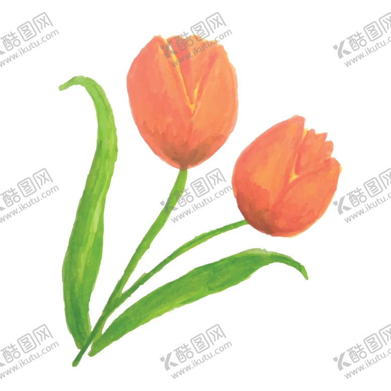 编号：79103710172146226021【酷图网】源文件下载-矢量水彩花朵