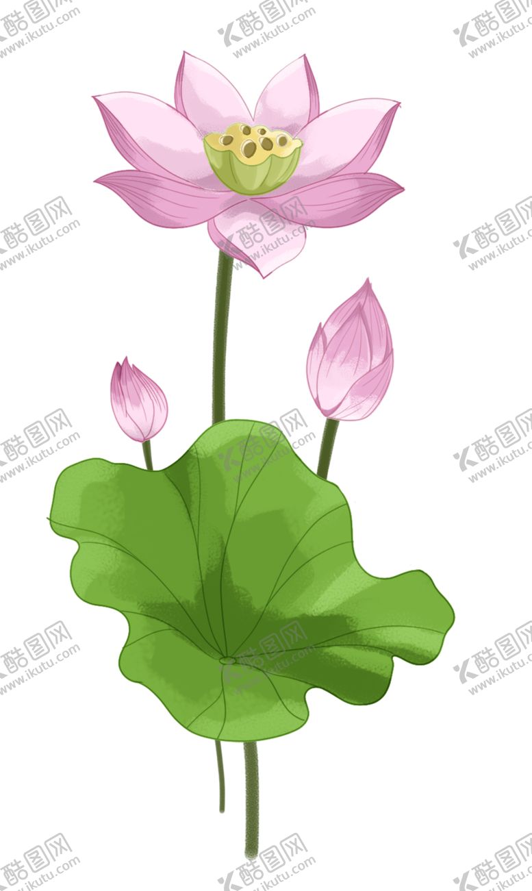 编号：47267704292237032345【酷图网】源文件下载-荷花元素