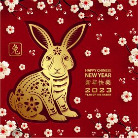 新年兔年贺岁2023主题贺岁素礼盒包装子材春节子图案