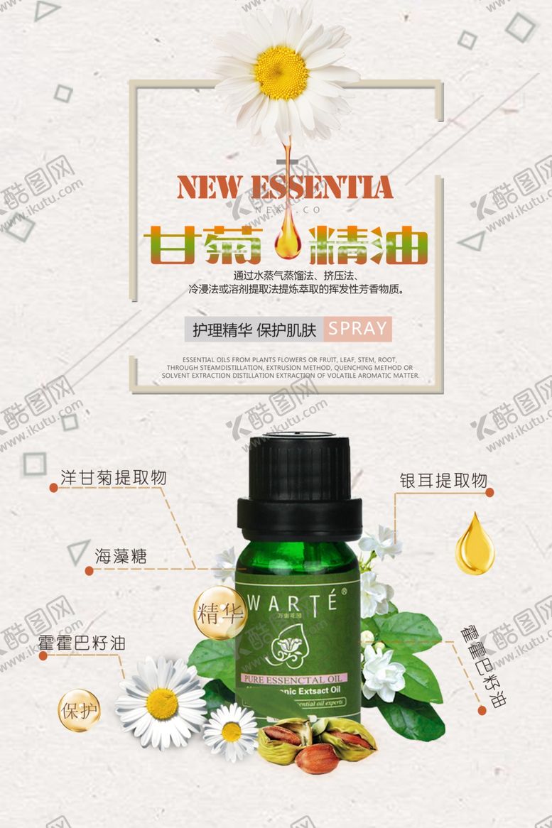 编号：81261005032100371919【酷图网】源文件下载-时尚清新护甘菊肤精油海报