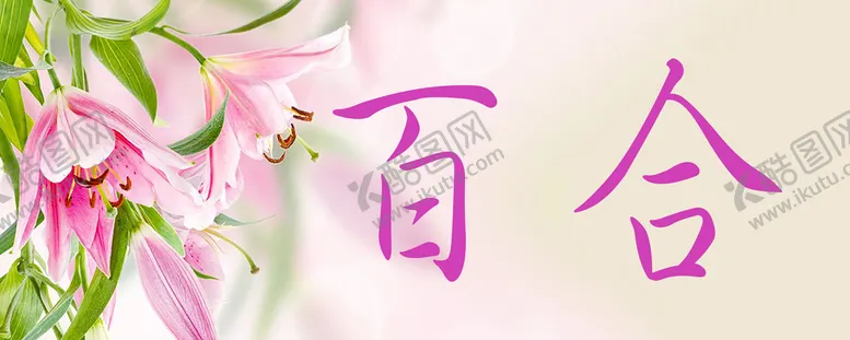 编号：83956110052317496739【酷图网】源文件下载-百合花门牌