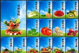 蔬菜展板