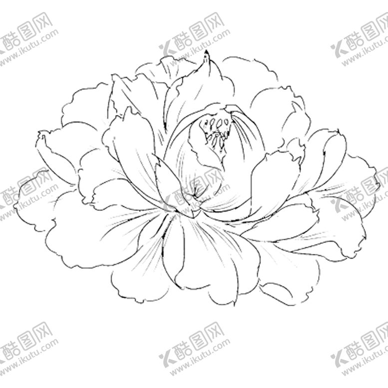 编号：25846610260101257339【酷图网】源文件下载-牡丹花素描线稿画