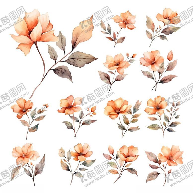 编号：99959311151113172841【酷图网】源文件下载-手绘橘色花卉图案集合