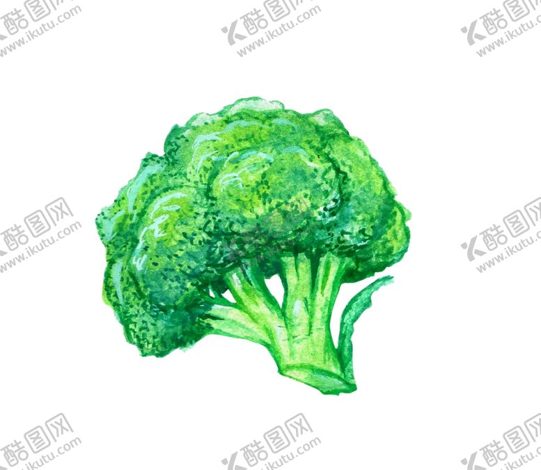 编号：57757909200141106116【酷图网】源文件下载-蔬菜