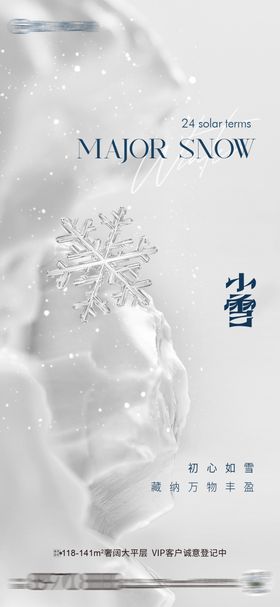 小雪地产海报