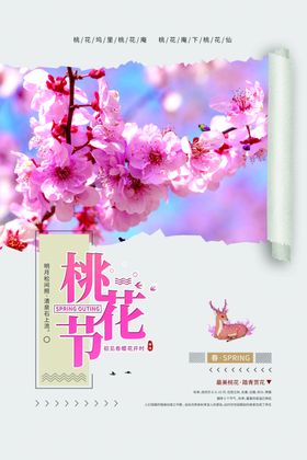 桃花海报桃花展板春暖花开