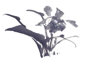百花争艳水墨荷国画水墨画