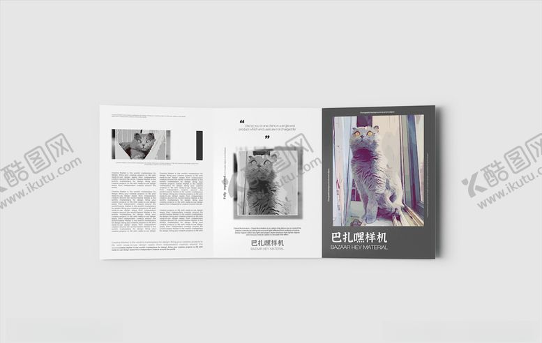 编号：50412003142141129885【酷图网】源文件下载-折页样机