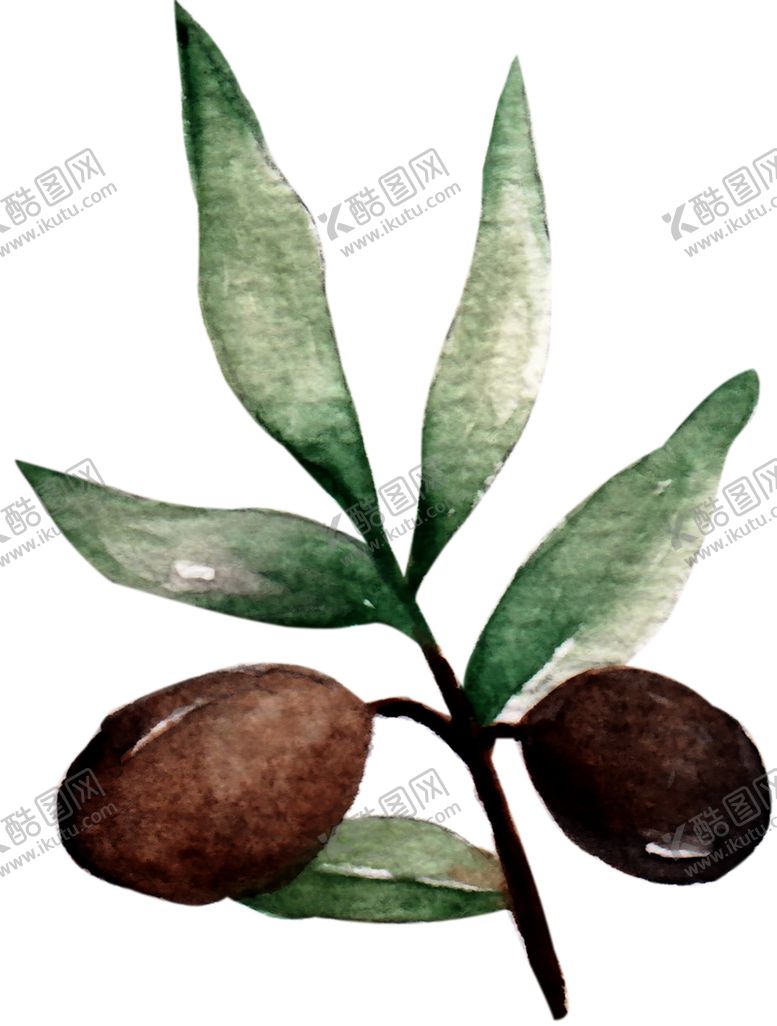 编号：68924301131222532477【酷图网】源文件下载-手绘植物
