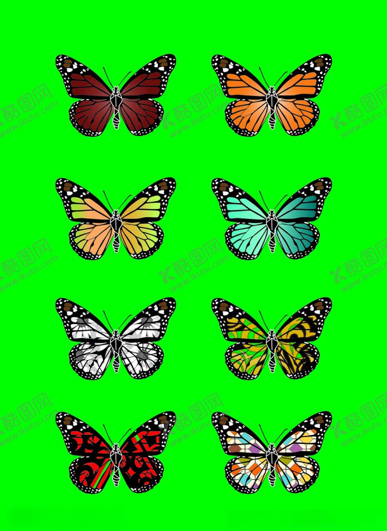 编号：51878809220255163890【酷图网】源文件下载-蝴蝶展翅