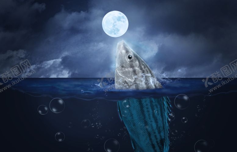 编号：19085709211848516342【酷图网】源文件下载-大海