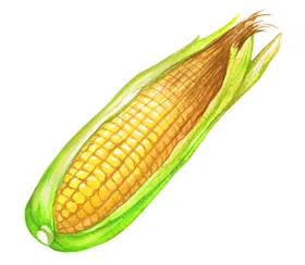 手绘彩色蔬菜免扣素材图片