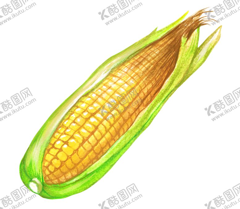 编号：40446703140129026587【酷图网】源文件下载-手绘彩色蔬菜免扣素材图片