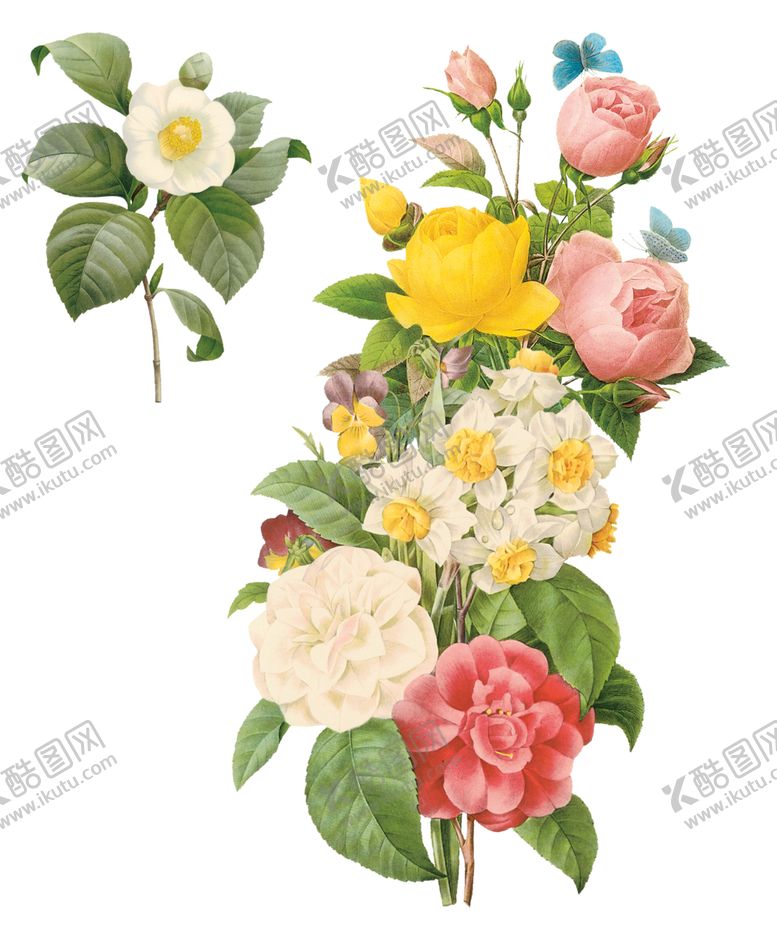 编号：38583110060743277867【酷图网】源文件下载-花朵