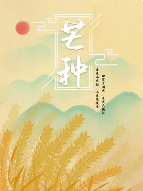 芒种海报