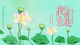 共赏荷花