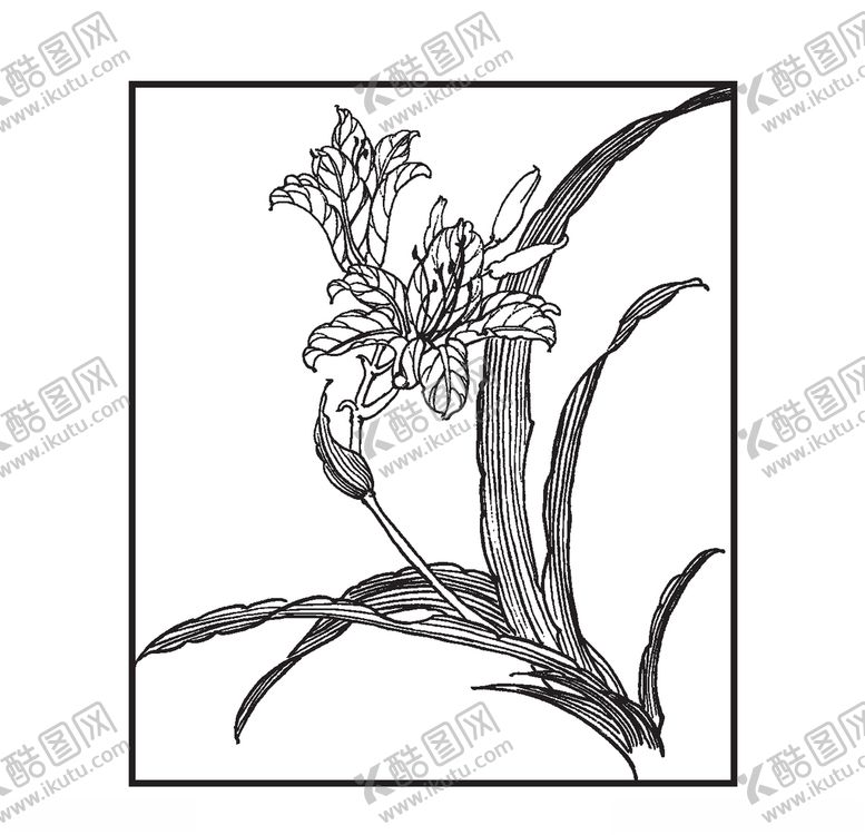 编号：37739009291314061769【酷图网】源文件下载-萱草