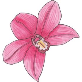 花图片