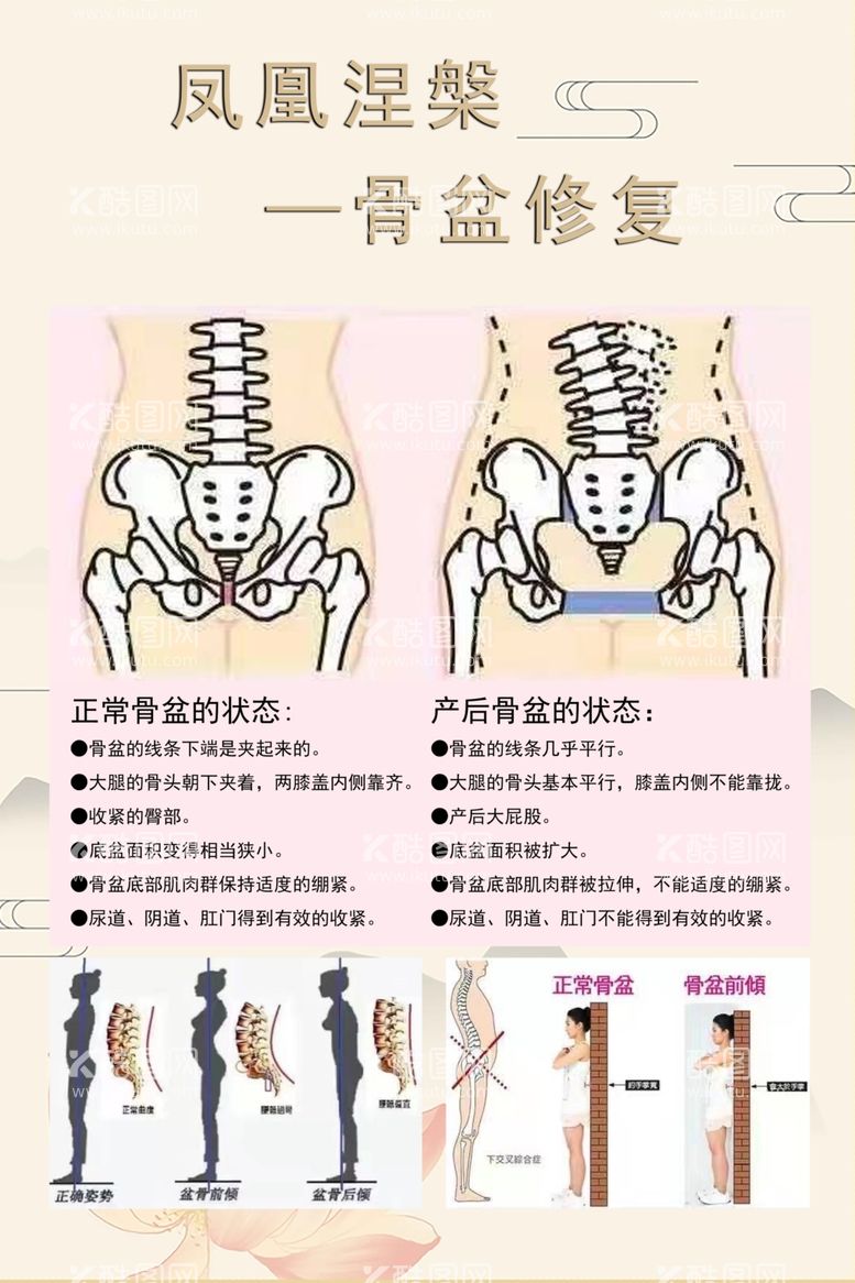 编号：72592411261922334373【酷图网】源文件下载-正骨海报