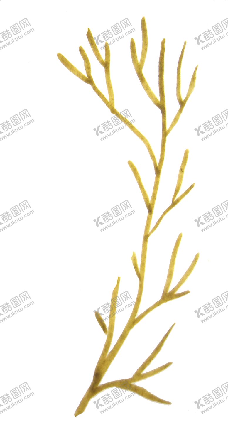 编号：17088609182013099285【酷图网】源文件下载-彩绘枝叶