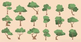 多样卡通树木集合