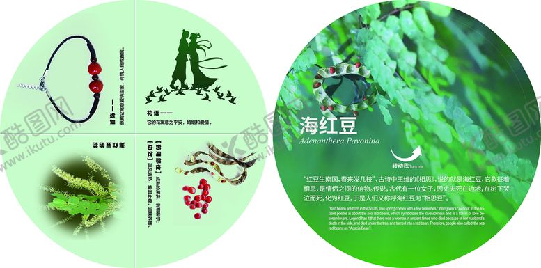 编号：26850709260238200845【酷图网】源文件下载-海红豆科普互动转盘