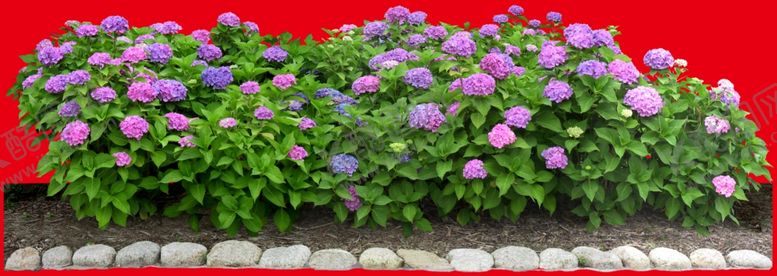 编号：16553409091547259473【酷图网】源文件下载-分层花