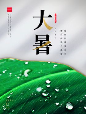 大暑刷屏金属蜻蜓节气