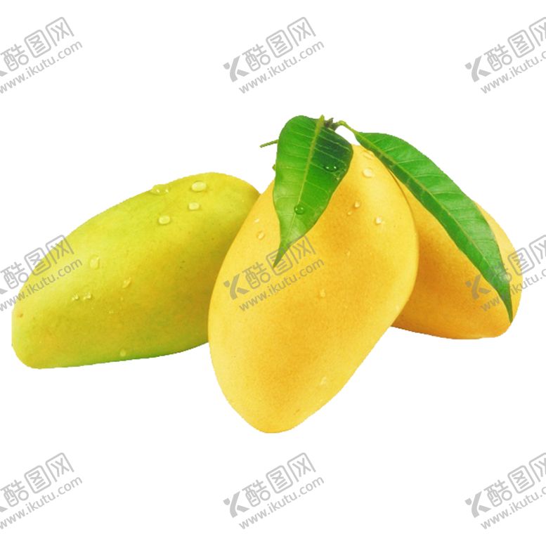 编号：87906209181629047531【酷图网】源文件下载-芒果  