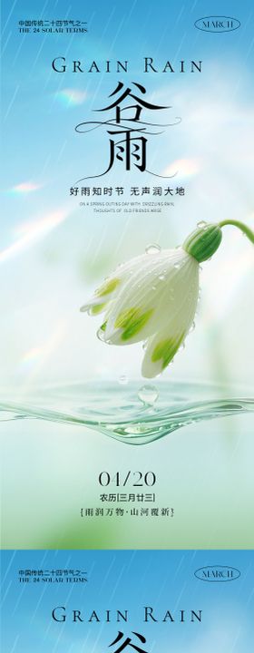 谷雨节气简约海报