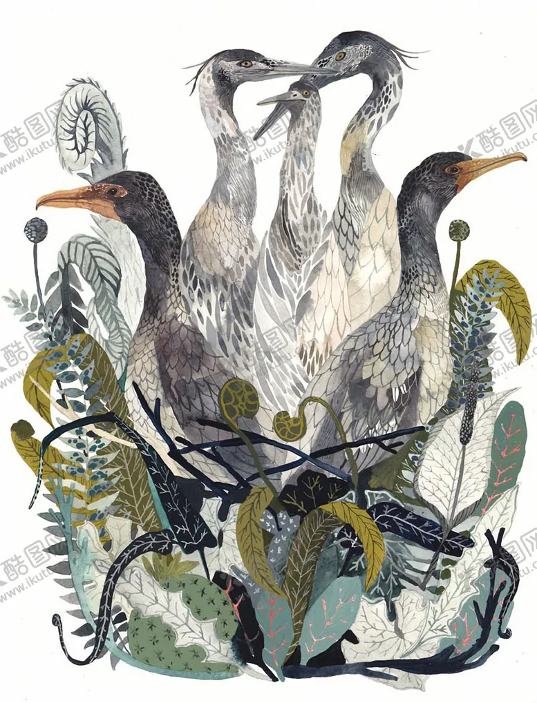 编号：81545606242205183103【酷图网】源文件下载-欧美水彩插画小清新植物