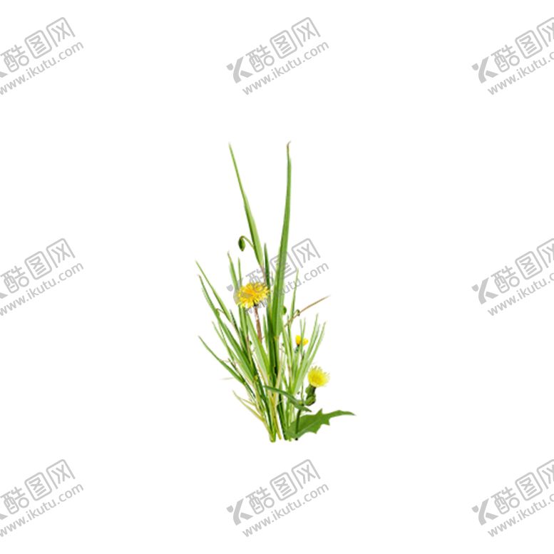 编号：24309107140142214920【酷图网】源文件下载-卡通花丛