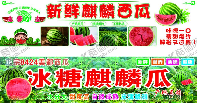编号：97846911201856014062【酷图网】源文件下载-新鲜麒麟西瓜