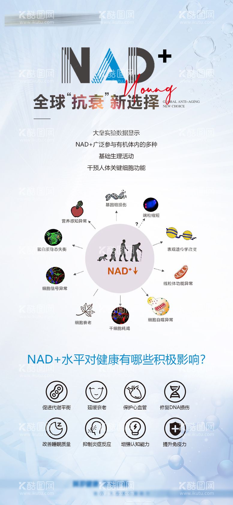 编号：31965612051926048908【酷图网】源文件下载-NAD 抗衰海报