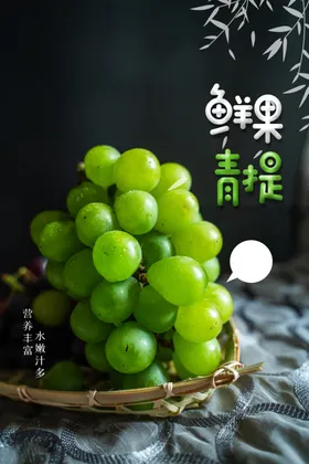 葡萄摘提子熟了黑提