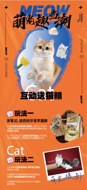 萌宠主题画面