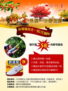 果园自摘旅游单页