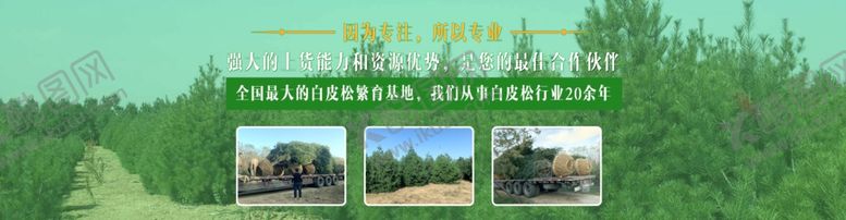 编号：88943310181618486919【酷图网】源文件下载-绿色网站banner