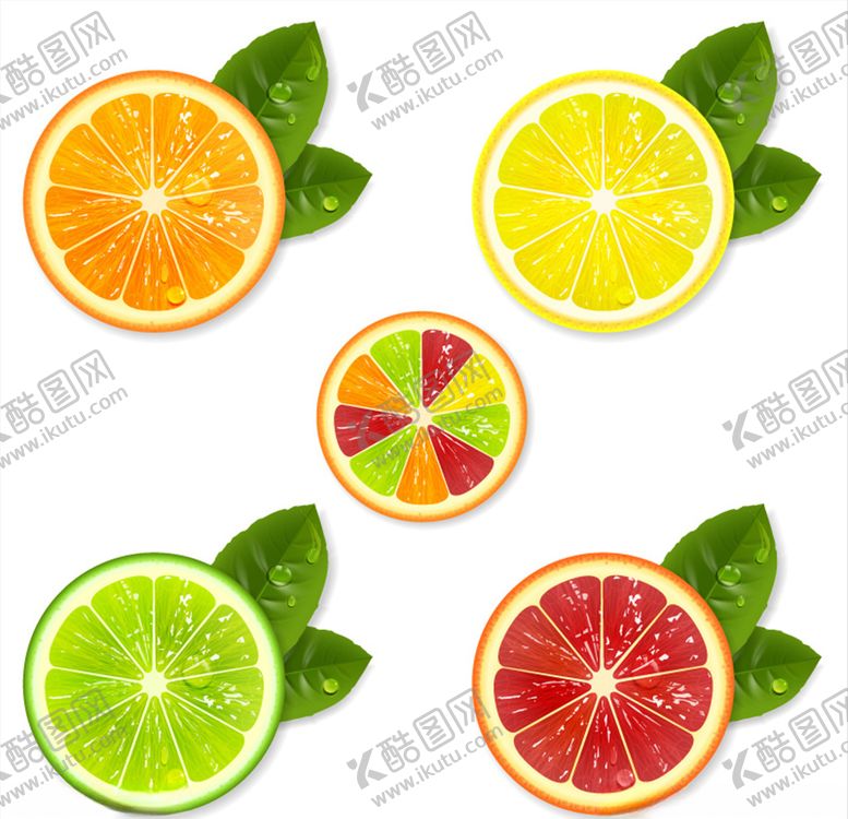 编号：98077407060036346767【酷图网】源文件下载-矢量橙子