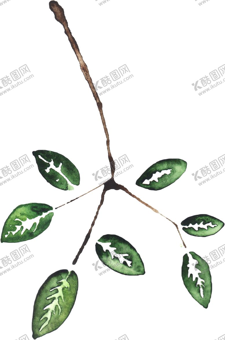 编号：63027010052200443161【酷图网】源文件下载-绿色植物