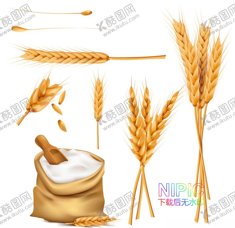 编号：94714804211522363702【酷图网】源文件下载-麦穗