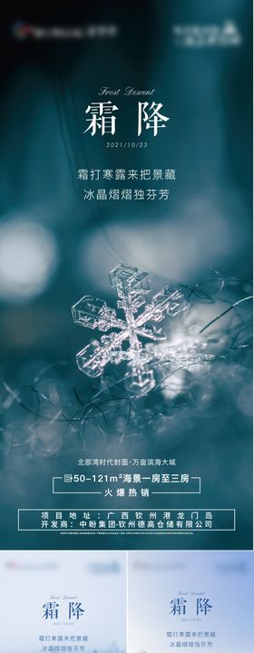 霜降海报雪花房地产系列